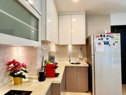 Hoover Park (D21), Terrace #469854661